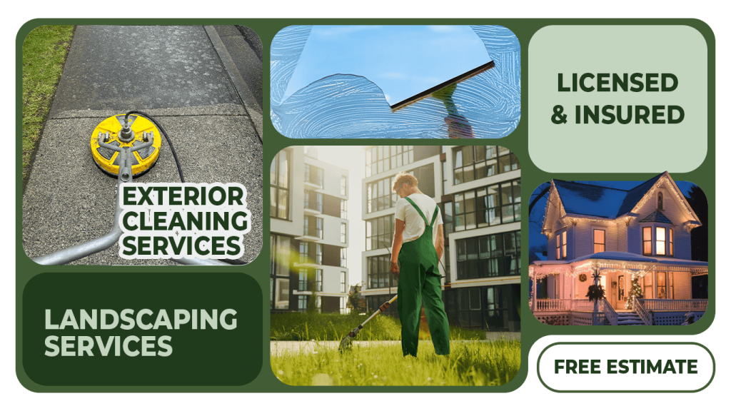 The Connection Between Exterior Cleaning and Pest Control