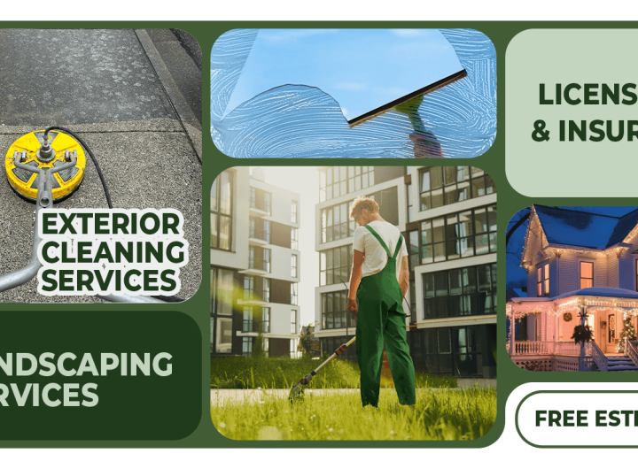 The Connection Between Exterior Cleaning and Pest Control